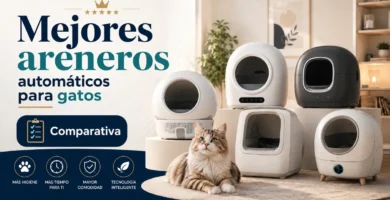 Comparativa de areneros automáticos para gatos con varios modelos y un gato