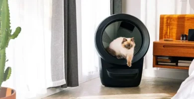 Gato utilizando un Litter-Robot 4 negro