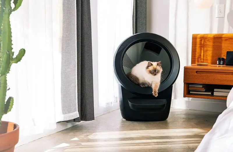Gato utilizando un Litter-Robot 4 negro
